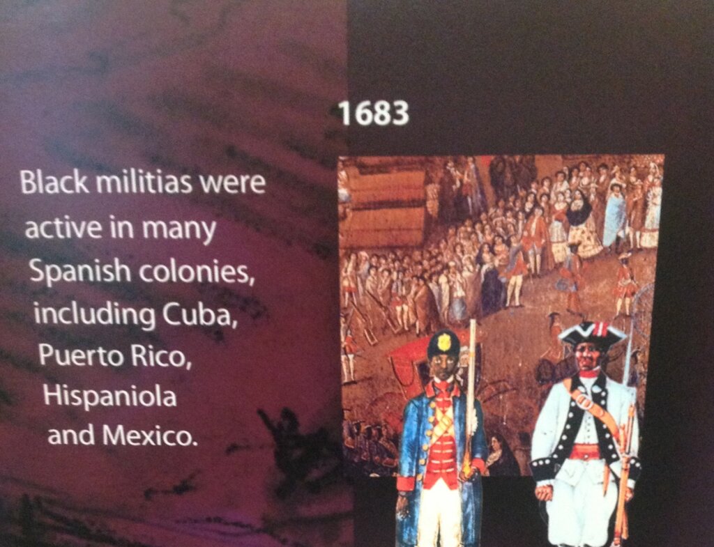 Black Militias in the Americas | Private Black Miami Tours | Miami Native Tours